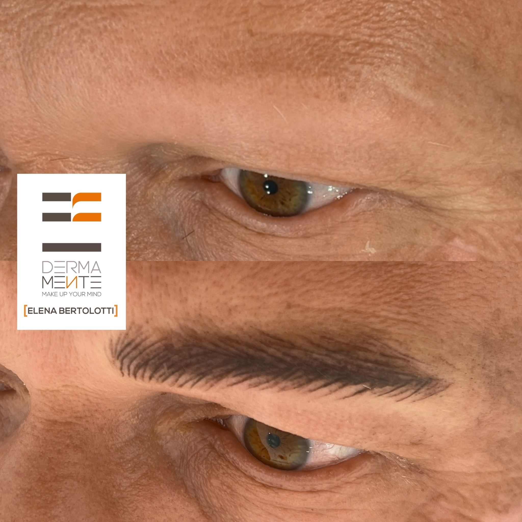 Sopracciglia